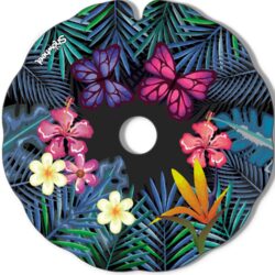 Papillons de nuit