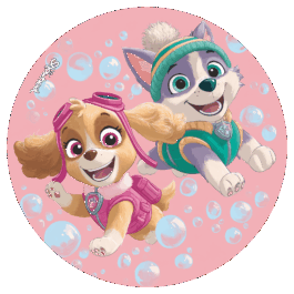 Heroines Pat patrouille