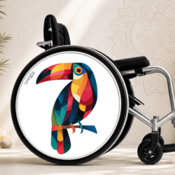 Toucan coloré